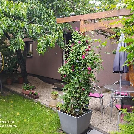 Apartment Garden Чеське Будєйовіце Екстер'єр фото